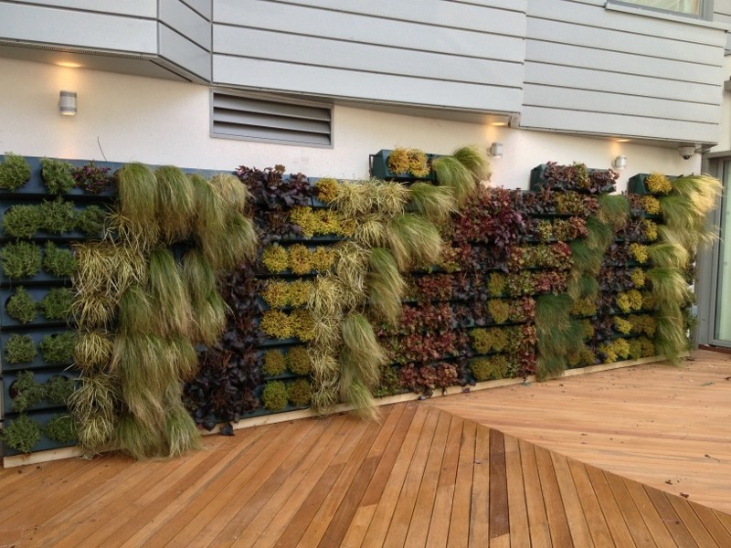 Living Wall Brings Courtyard To Life