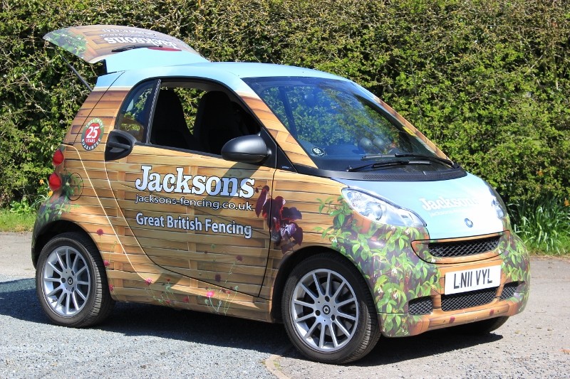Smart Thinking From Jackson
